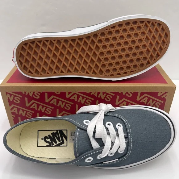 Vans Men’s Authentic Color Theory Stormy WeatherVN000EGARV2 Sneakers